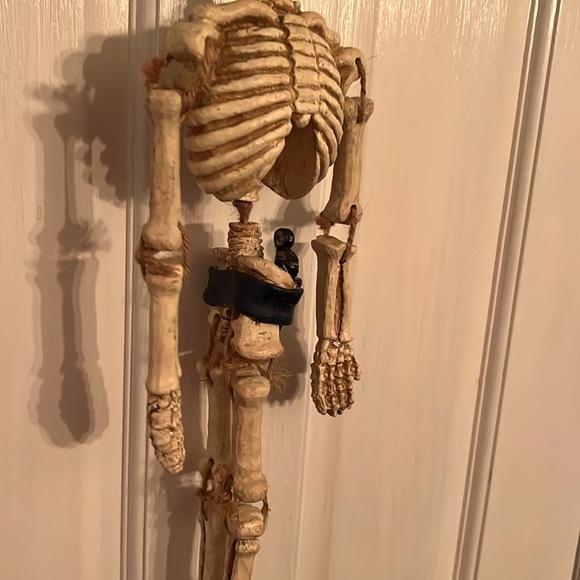 Pirate skeleton - Picture 2 of 6